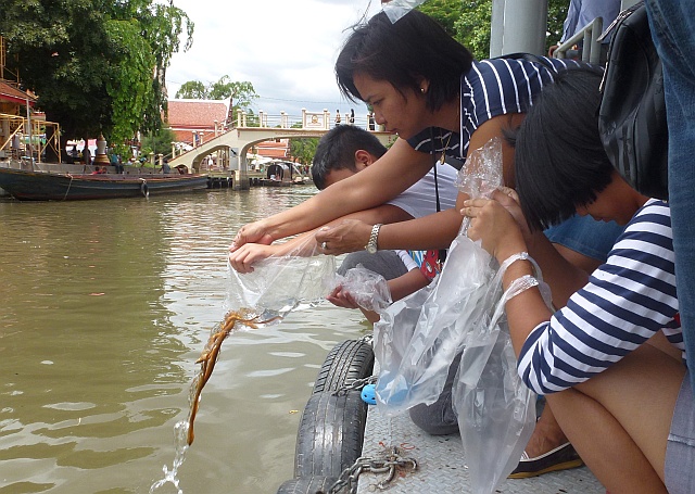 Releasing fish as a good deed