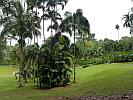 Botanic Gardens Singapore - National Orchid Garden