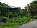 Botanic Gardens Singapore - National Orchid Garden