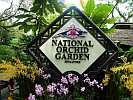 Botanic Gardens Singapore - National Orchid Garden