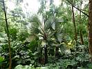 Botanic Gardens Singapore - National Orchid Garden