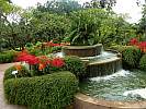 Botanic Gardens Singapore - National Orchid Garden