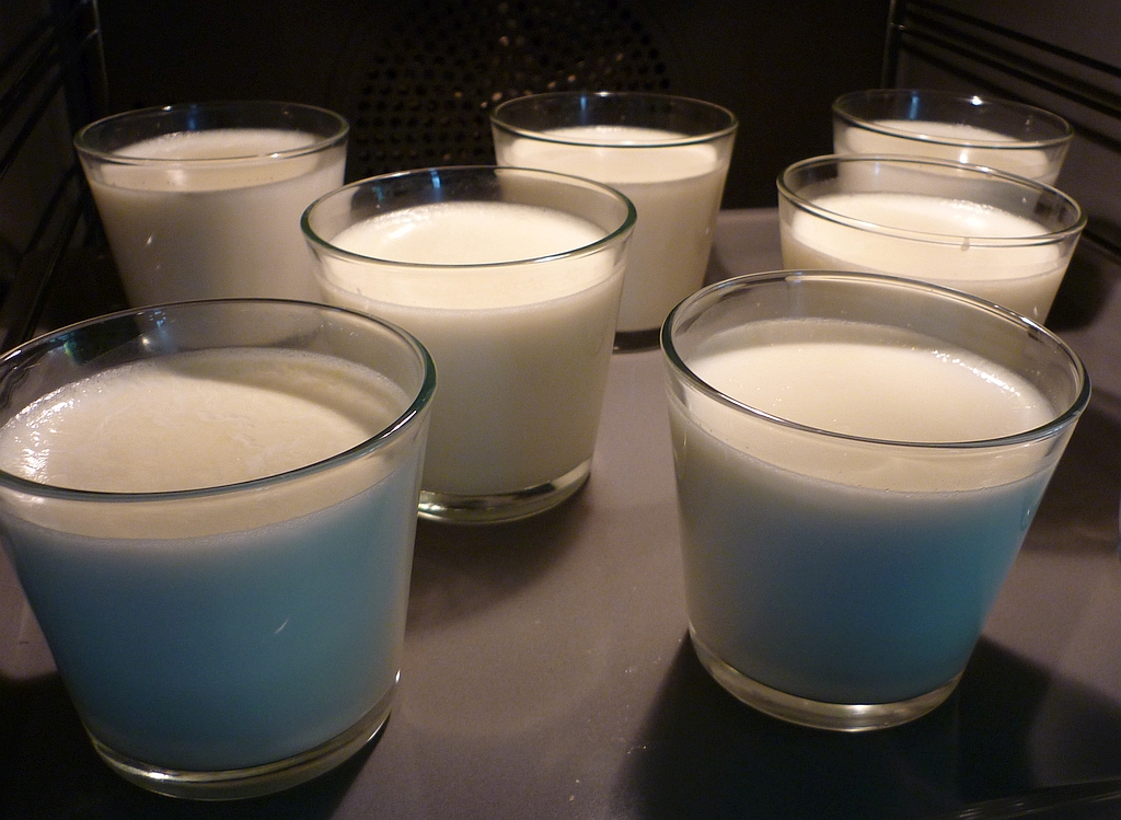Joghurt selber machen - im Backofen