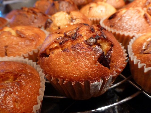 Orangen - Schokolade - Muffins