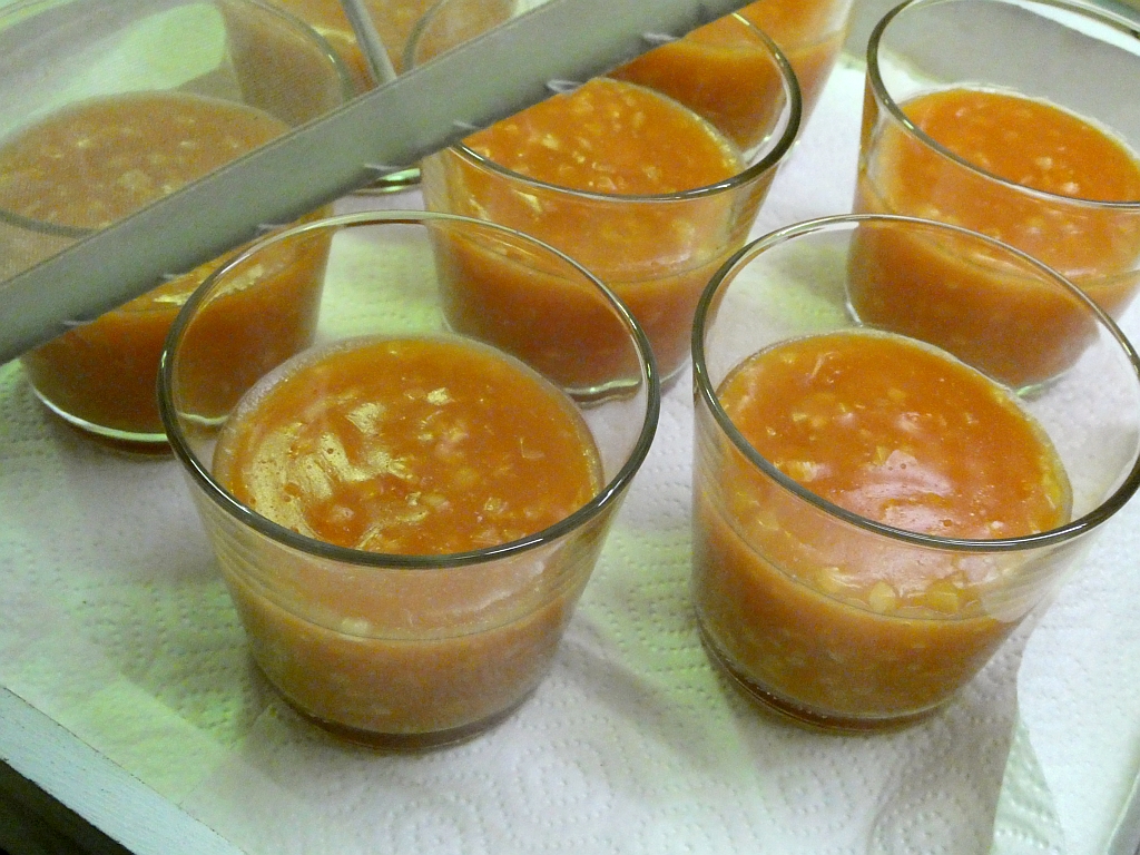 Panna Cotta Arancia Campari