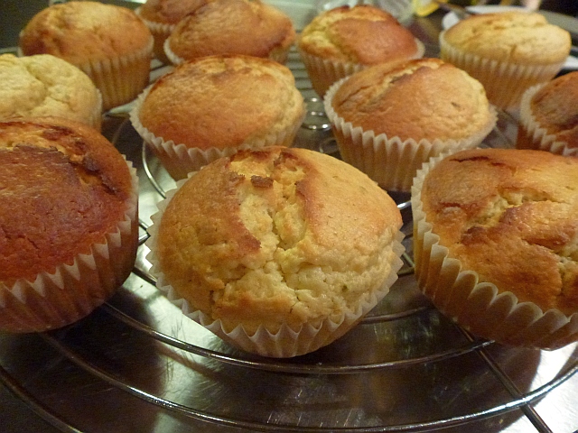 Thunder - Muffins • มัฟฟิน "ฟ้าร้อง"