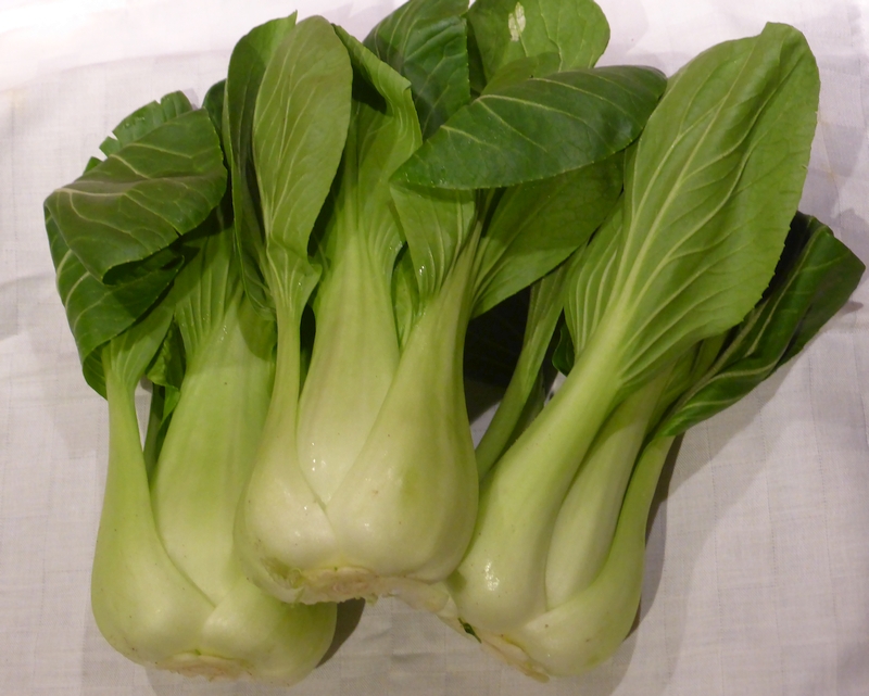 Pak Choi