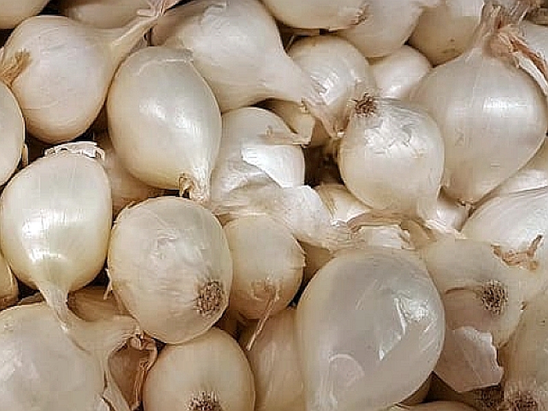 Perlzwiebel