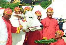 The Royal Ploughing Ceremony .:. วันพืชมงคล