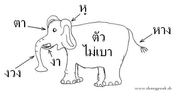 ช้าง